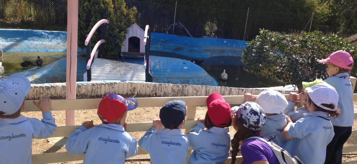 Visita a la granja escuela