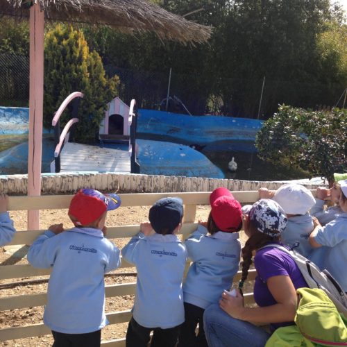Visita a la granja escuela