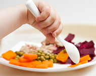 Nutrición - Introducción de alimentos sólidos