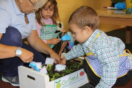 Proyecto educativo Lula