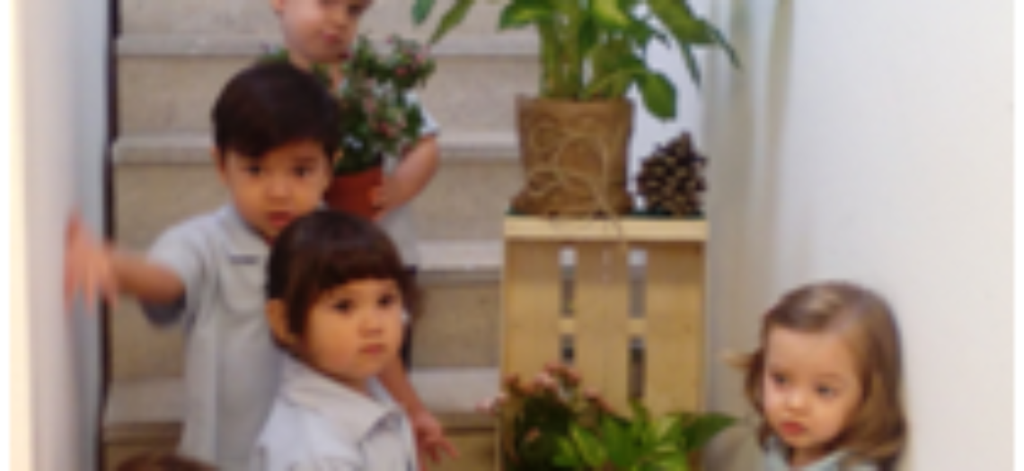 Inteligencia naturalista, también en las aulas de Nemomarlin