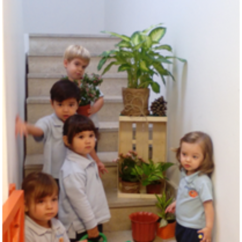 Inteligencia naturalista, también en las aulas de Nemomarlin