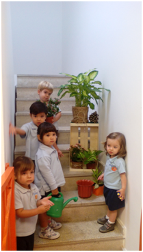 Inteligencia naturalista