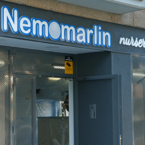 Medidas reapertura escuelas infantiles Nemomarlin