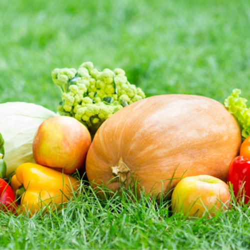 Frutas y verduras en primavera