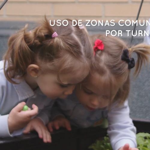 Vídeo protocolos contra el covid