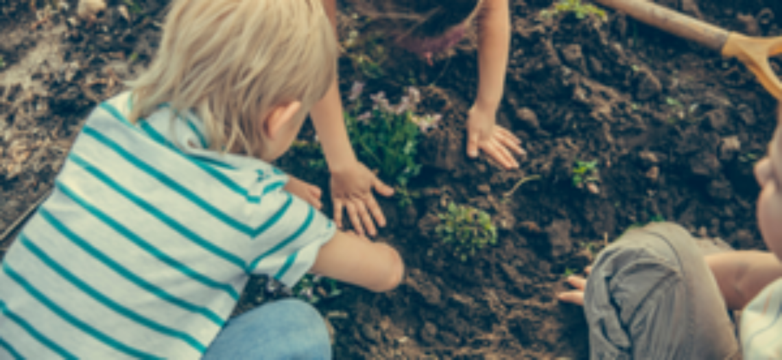 El huerto, cómo trabajar la naturaleza con los niños