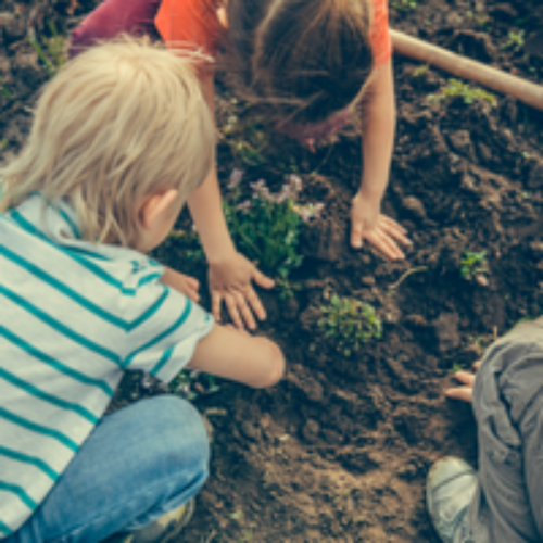 El huerto, cómo trabajar la naturaleza con los niños