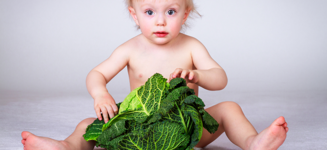 Impulsa la nutrición infantil con las coles