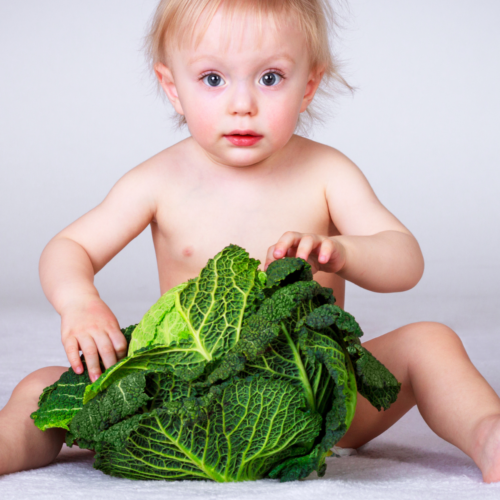 Impulsa la nutrición infantil con las coles
