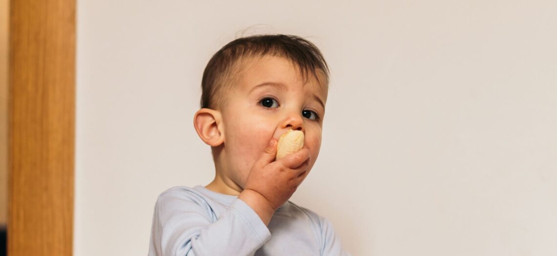 La alimentación ideal para niños de 0 a 3 años.