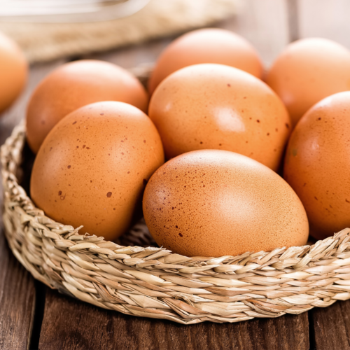 Curiosidades sobre el huevo: un alimento esencial en la nutrición infantil