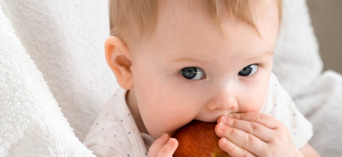 Alimentos clave para un desarrollo saludable en bebés de 0-3 años