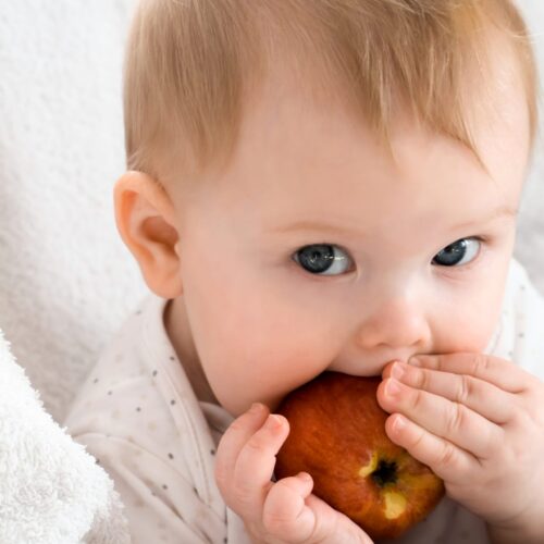 Alimentos clave para un desarrollo saludable en bebés de 0-3 años