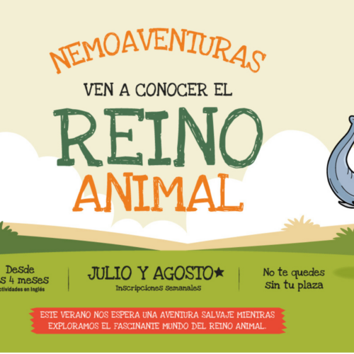 🐾 Este verano… ¡nos vamos de aventura al Reino Animal con Nemomarlin! 🌍